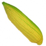 Corn