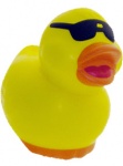 Cool Duck with Sunglasses