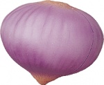 Onion