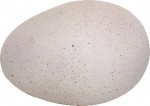 Dinasaur Egg